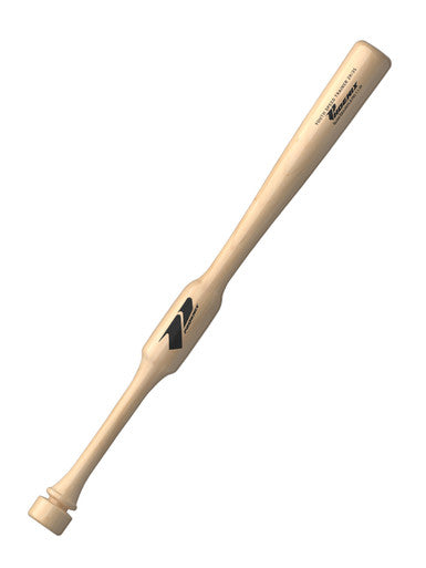 Two Hand Youth Speed Training Bat