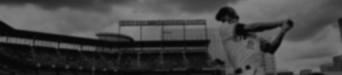 All Baseball Bats
